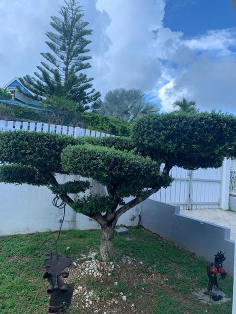 Studio Cozy Melissa Elegance - Guadeloupe , Le Gosier , Dampierre - Avec Pleine Vue Mer - Ocean A 180 Degres Exterior photo